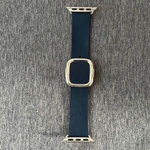 Midnight Modern Buckle for Apple Watch